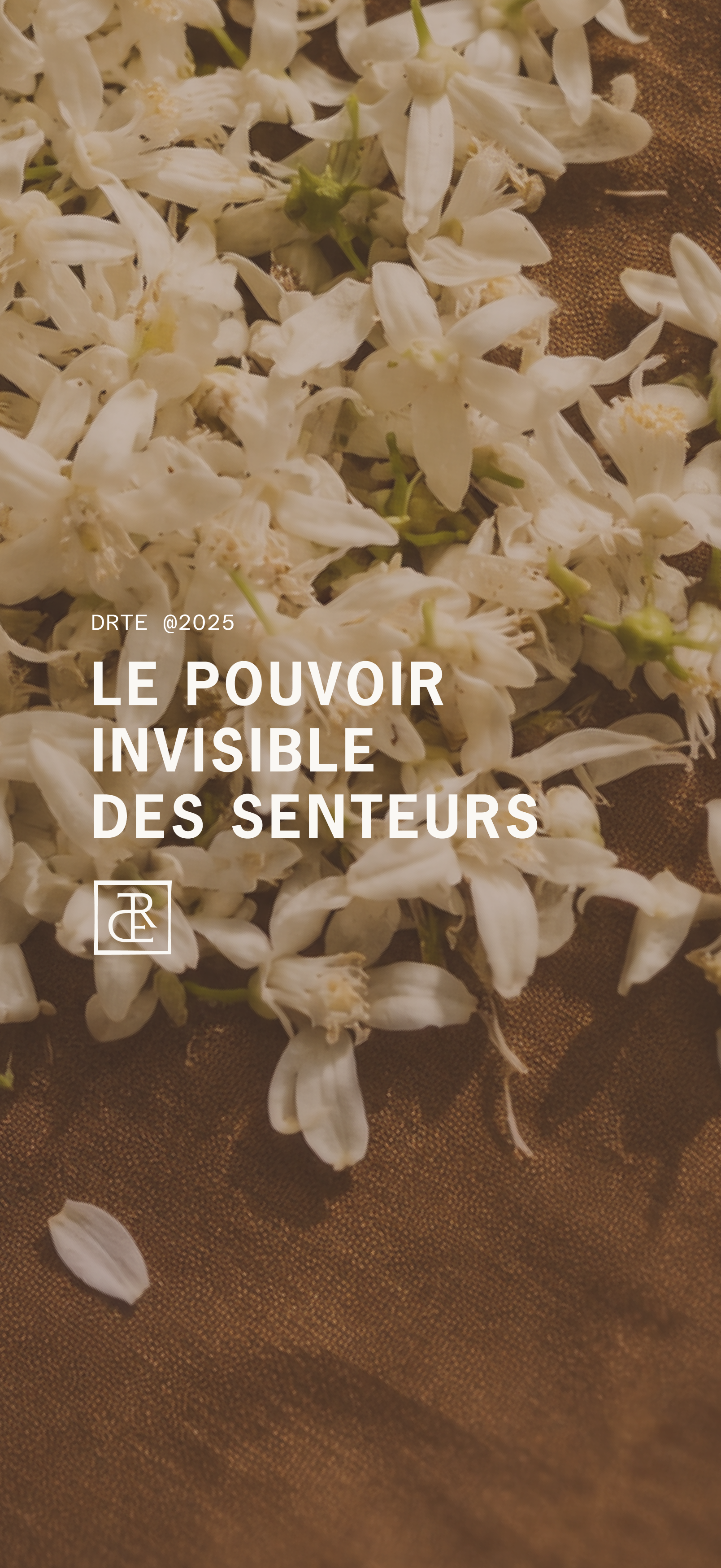 Le pouvoir invisible des senteurs Image